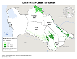 images\TX\cropprod\Turkmenistan_Cotton_preview.jpg